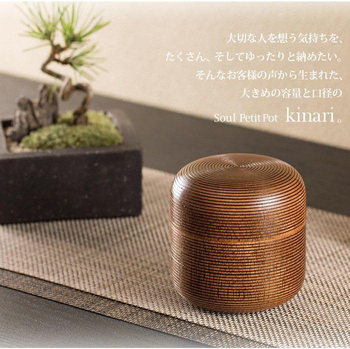 Morris M-50 ハカランダ ジャパンヴィンテージギター ハードケース付